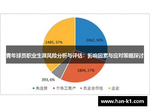 青年球员职业生涯风险分析与评估：影响因素与应对策略探讨