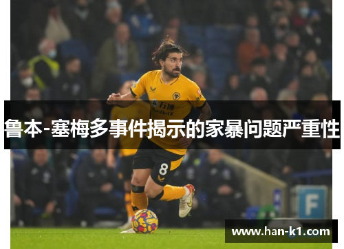 鲁本-塞梅多事件揭示的家暴问题严重性