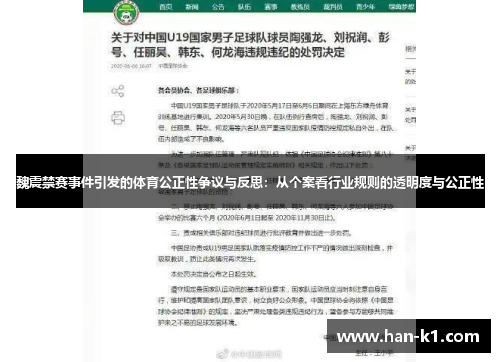 魏震禁赛事件引发的体育公正性争议与反思：从个案看行业规则的透明度与公正性